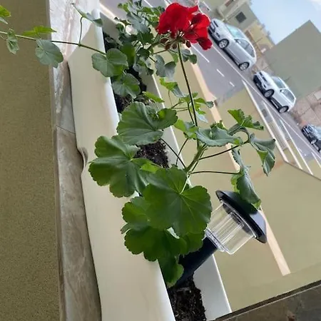 Casa Orquidea Σπίτι διακοπών *